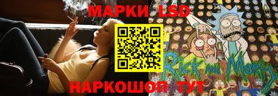шишки Сосновый Бор