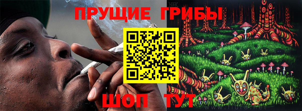 Псилоцибиновые грибы GOLDEN TEACHER Кашира